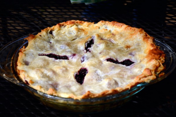 blackberry pie recipe 21