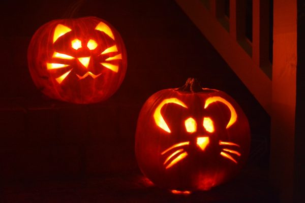 carved cat and mouse pumpkin